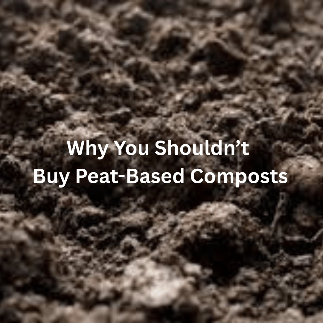 Why You Shouldn’t Buy Peat-Based Composts