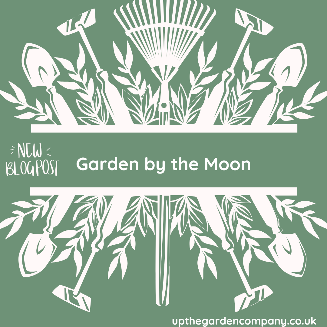 Garden by the Moon?