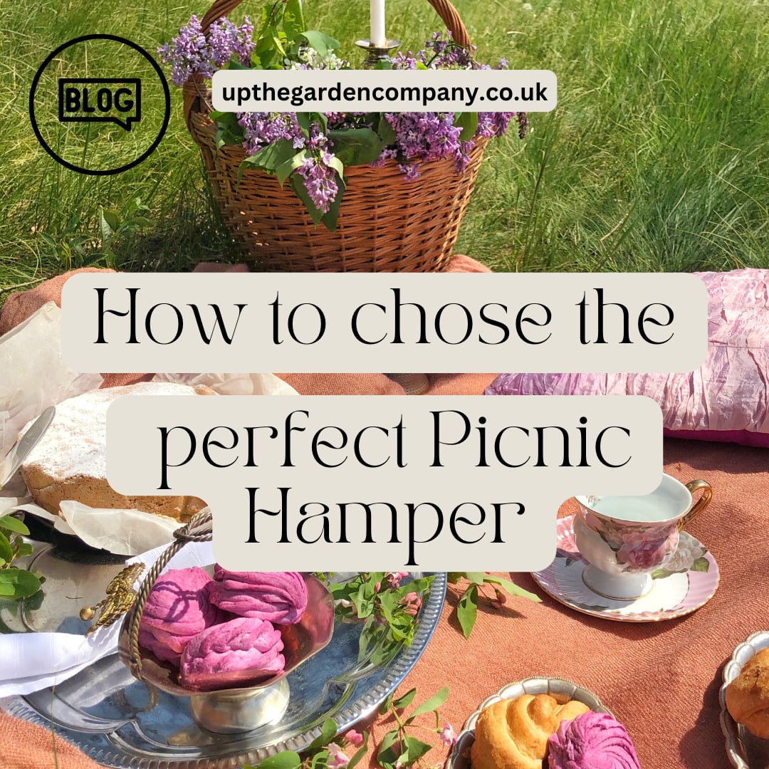 How to Choose the Perfect Picnic Hamper