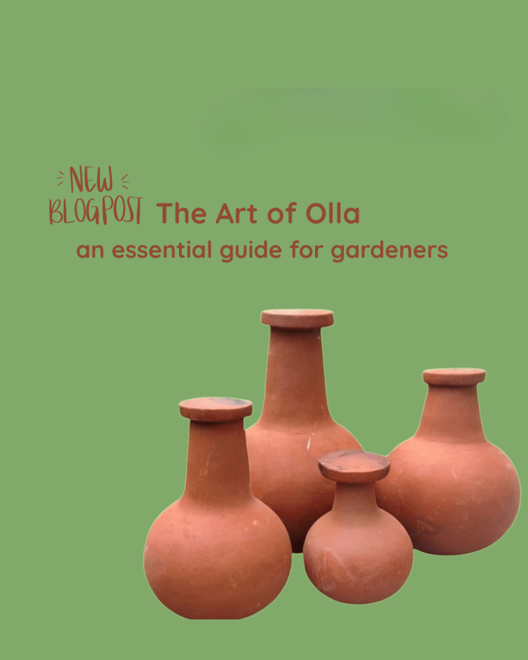 New Blog Post. Art of Olla An essential guide for gardeners images of terracotta ollas