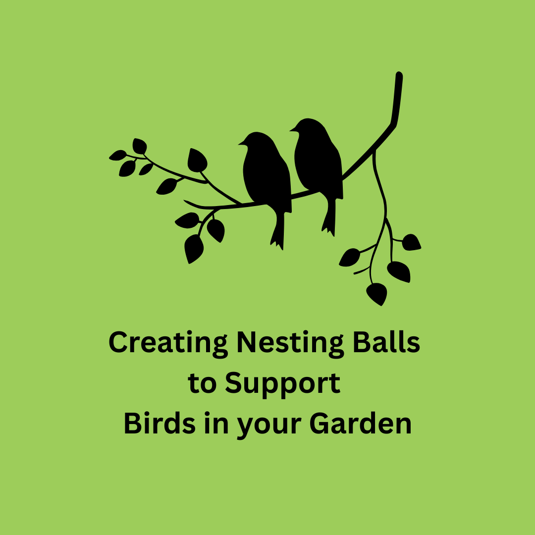 Creating Nesting Balls to Support Birds in your Garden