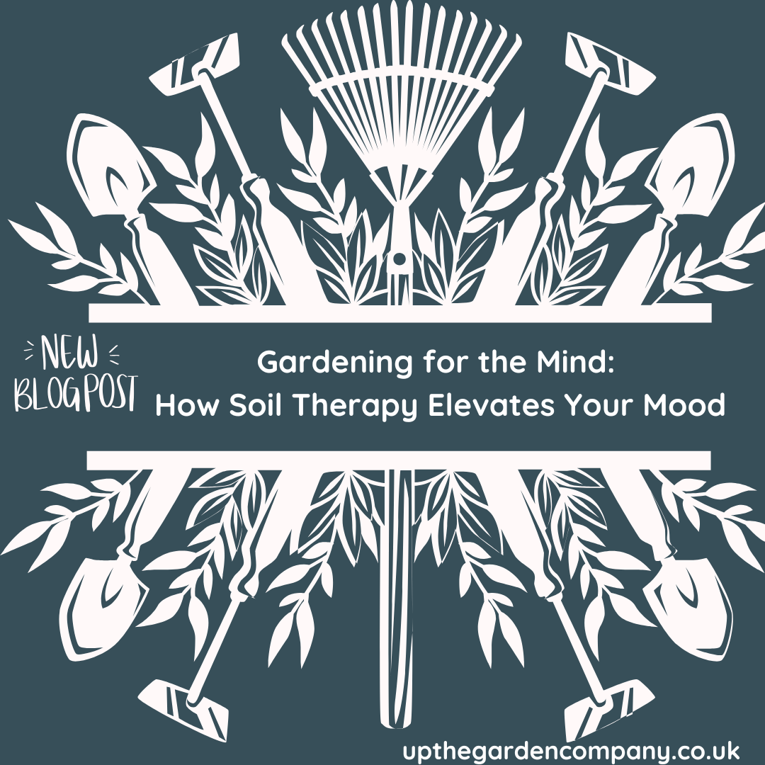 How Soil Therapy Elevates Your Mood