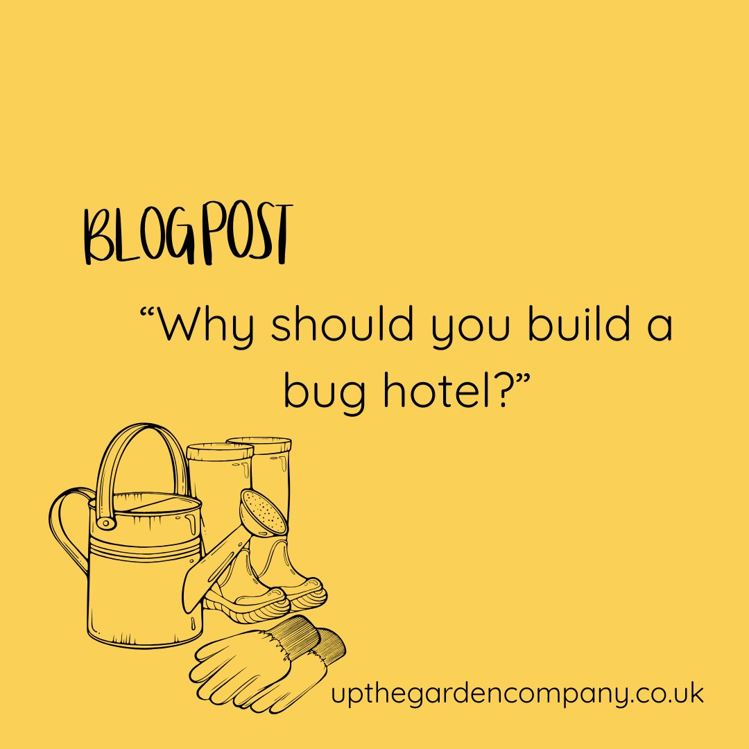 Why you should build a bug hotel