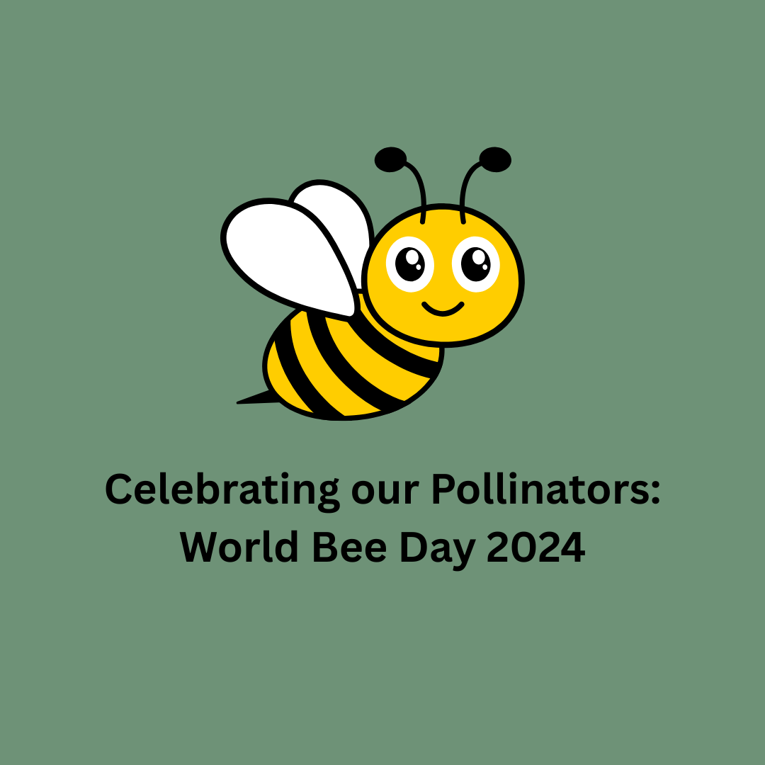 Celebrating our Pollinators World Bee Day 2024