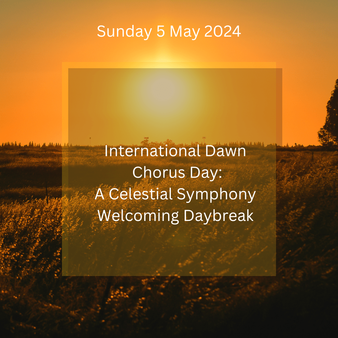 International Dawn Chorus Day