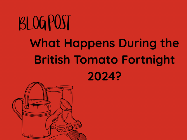 What Happens During the British Tomato Fortnight 2024?