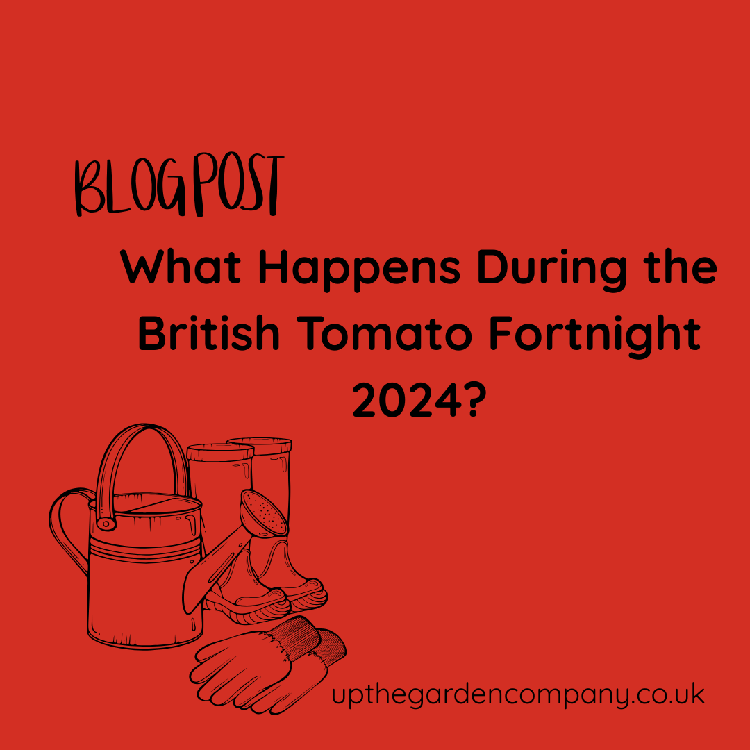 What Happens During the British Tomato Fortnight 2024?