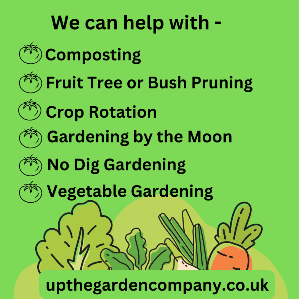 We can help with-
Composting
Fruit Tree or Bush Pruning
Crop Rotation
Gardening by the Moon
No Dig Gardening
Vegetable Gardening
