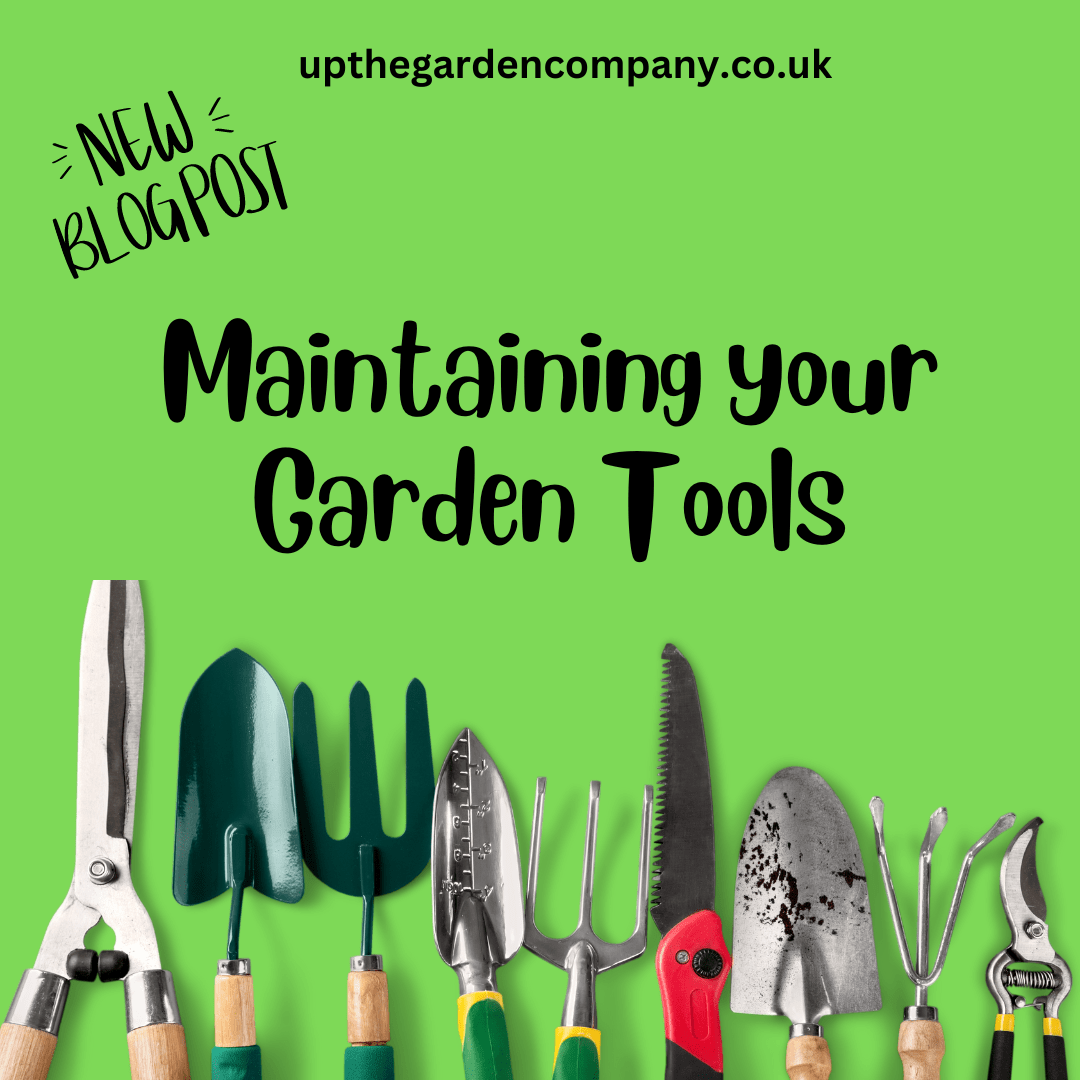 Maintaining Your Garden Tools