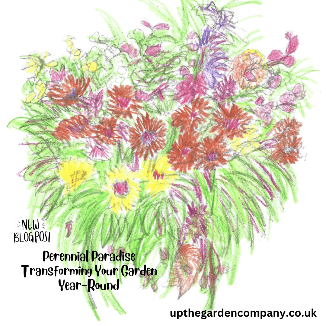 Perennial Paradise Transforming Your Garden Year-Round