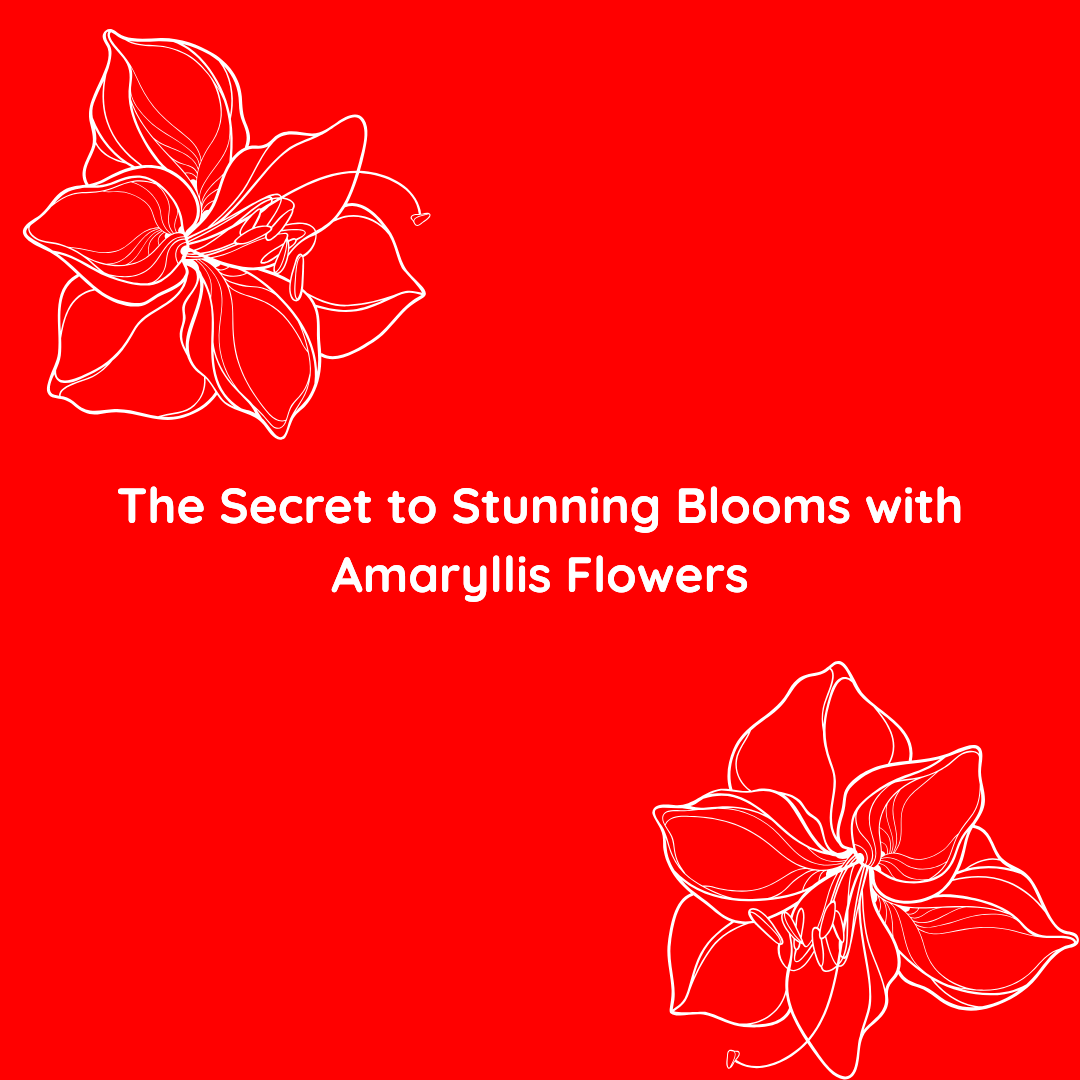 The Secret to Stunning Blooms with Amaryllis Flowers