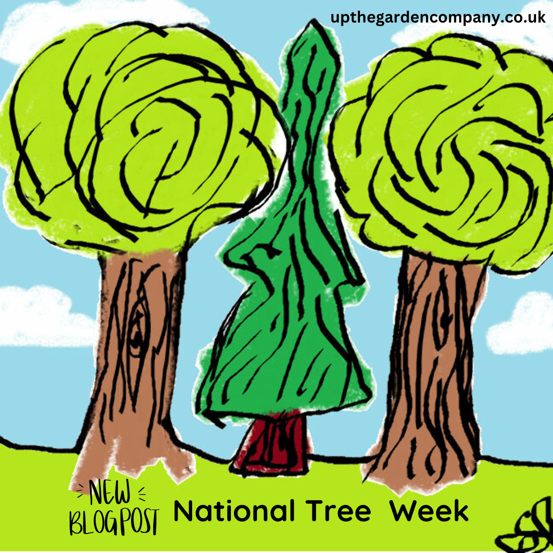 National Tree Week 2024