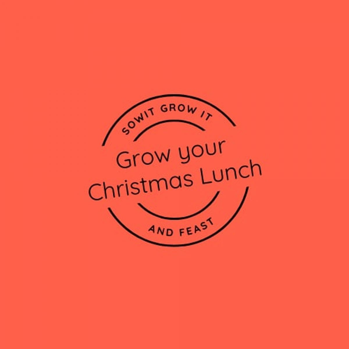 Homegrown Christmas Lunch: Harvesting the Perfect Vegetables for a Memorable Feast