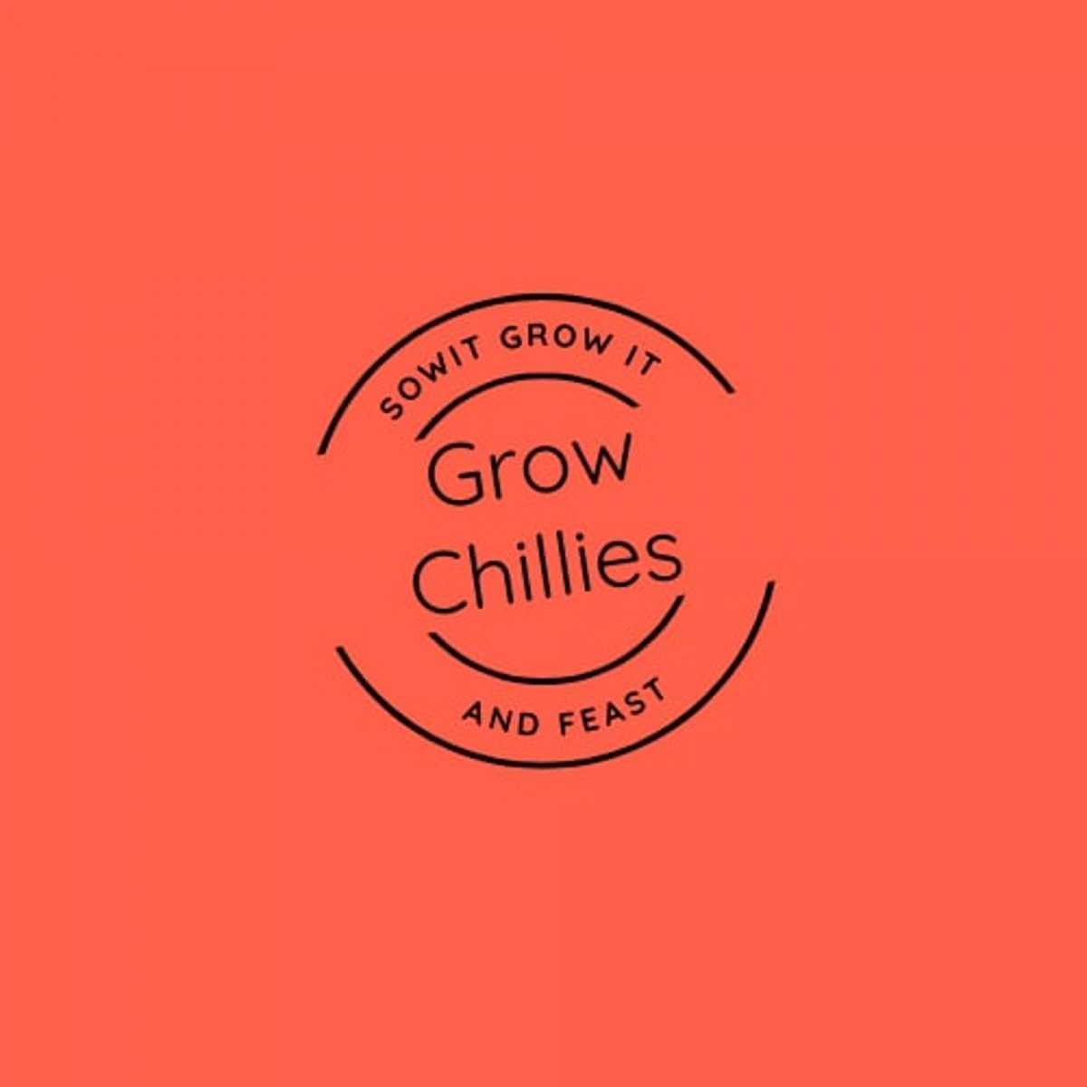 Chilli Plant Care: From Sowing Seeds to Overwintering