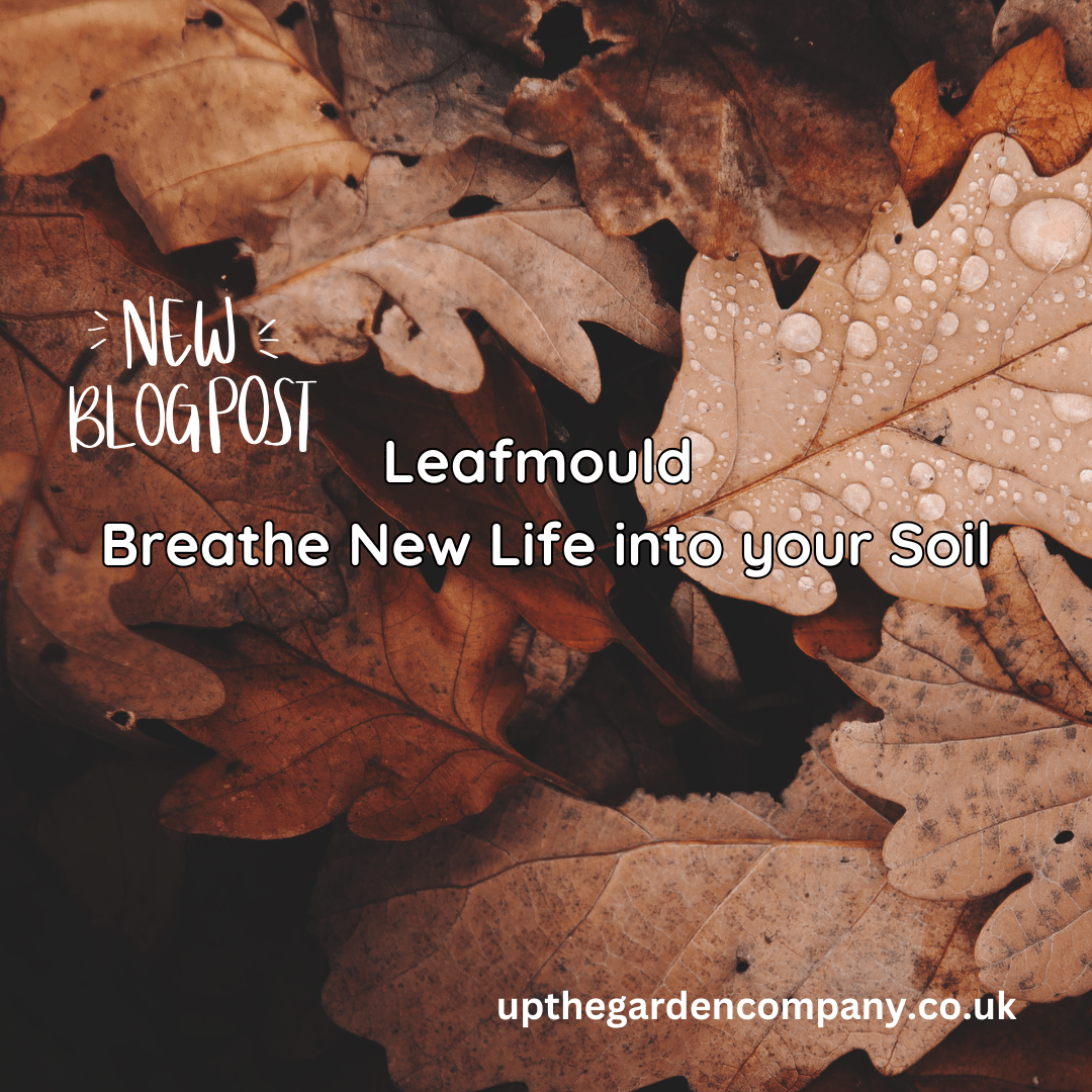 Leafmould  – Breathe New Life into your Soil