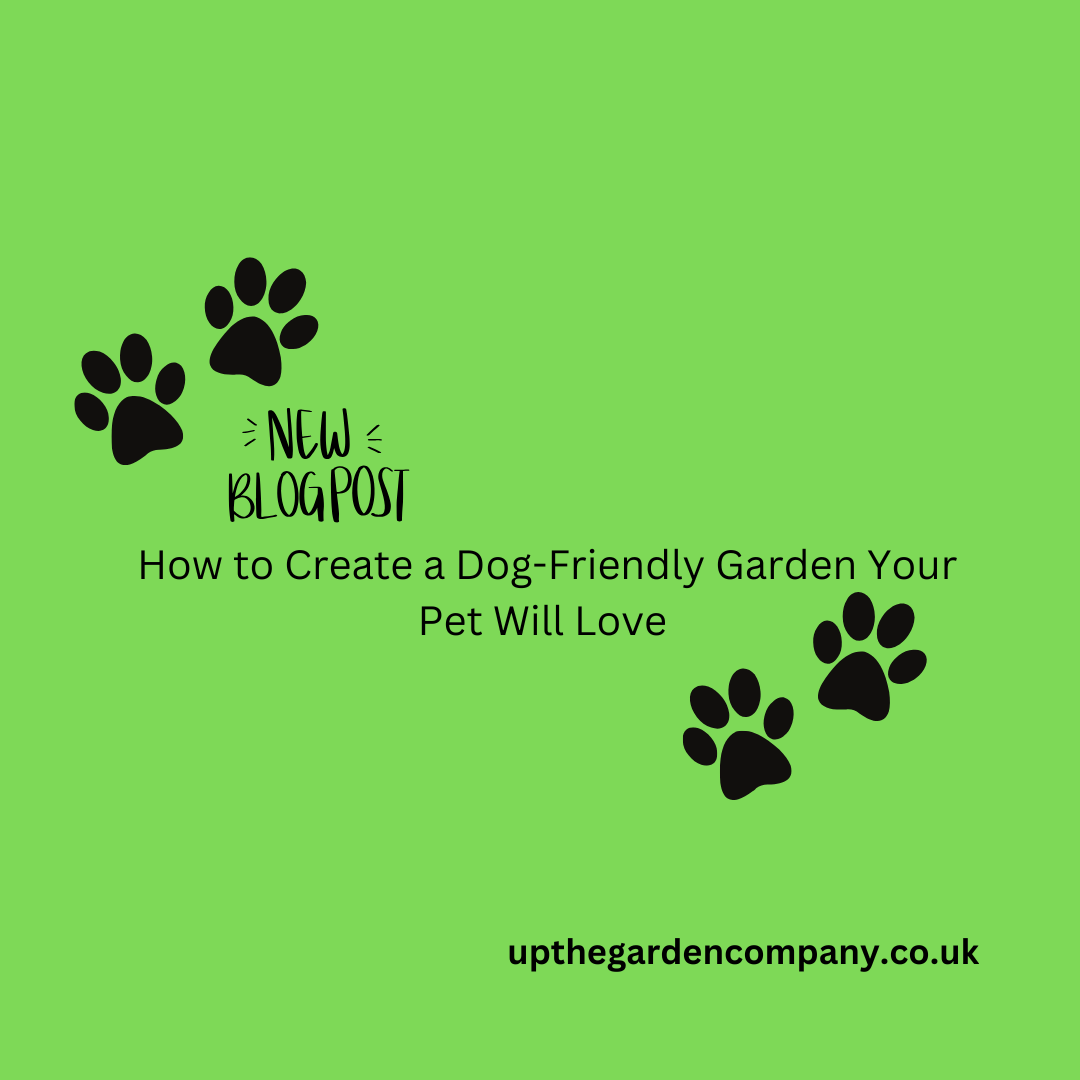 How to Create a Dog-Friendly Garden Your Pet Will Love 