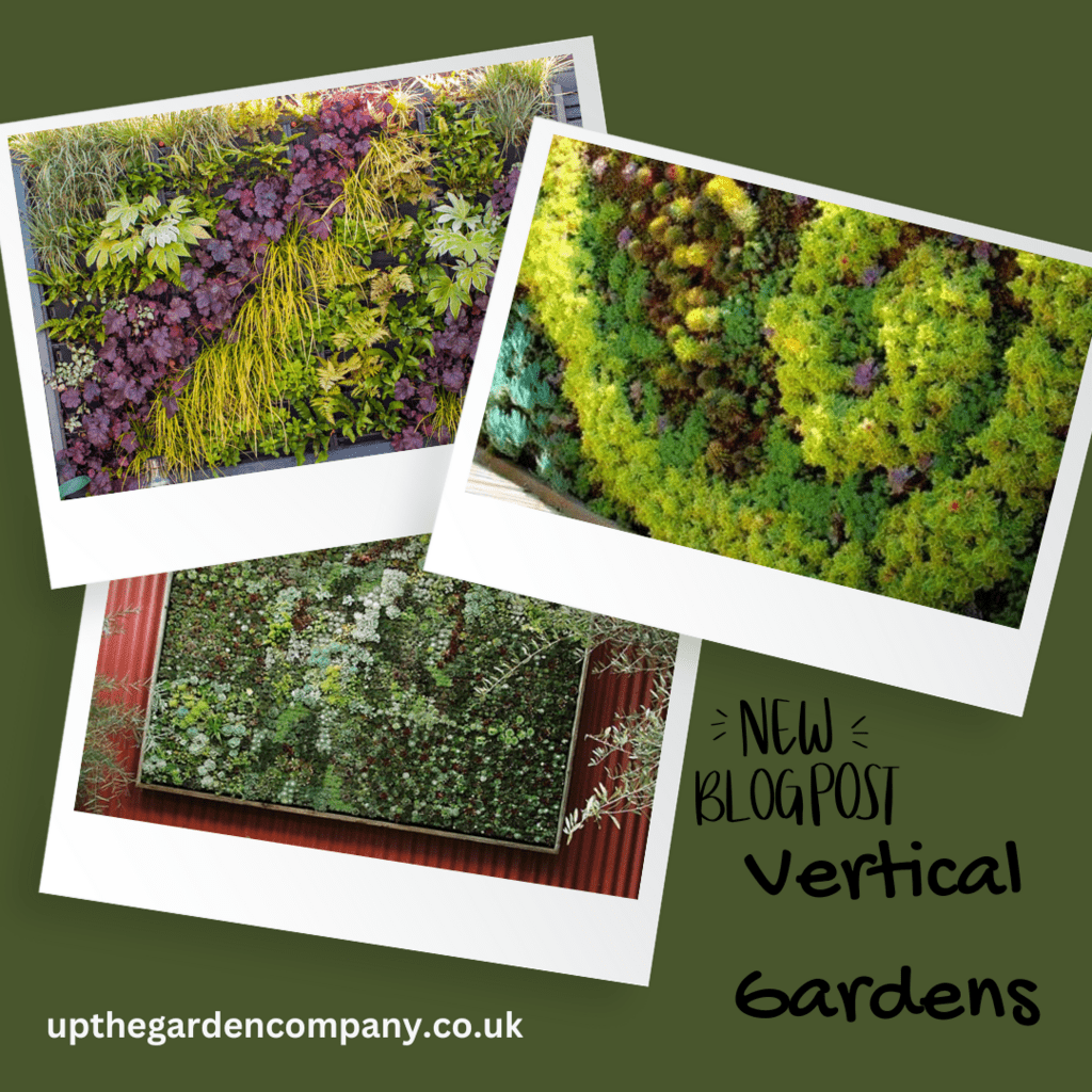 New Blog Post: Vertical Gardening
Image: Three photos of vertical garden examples