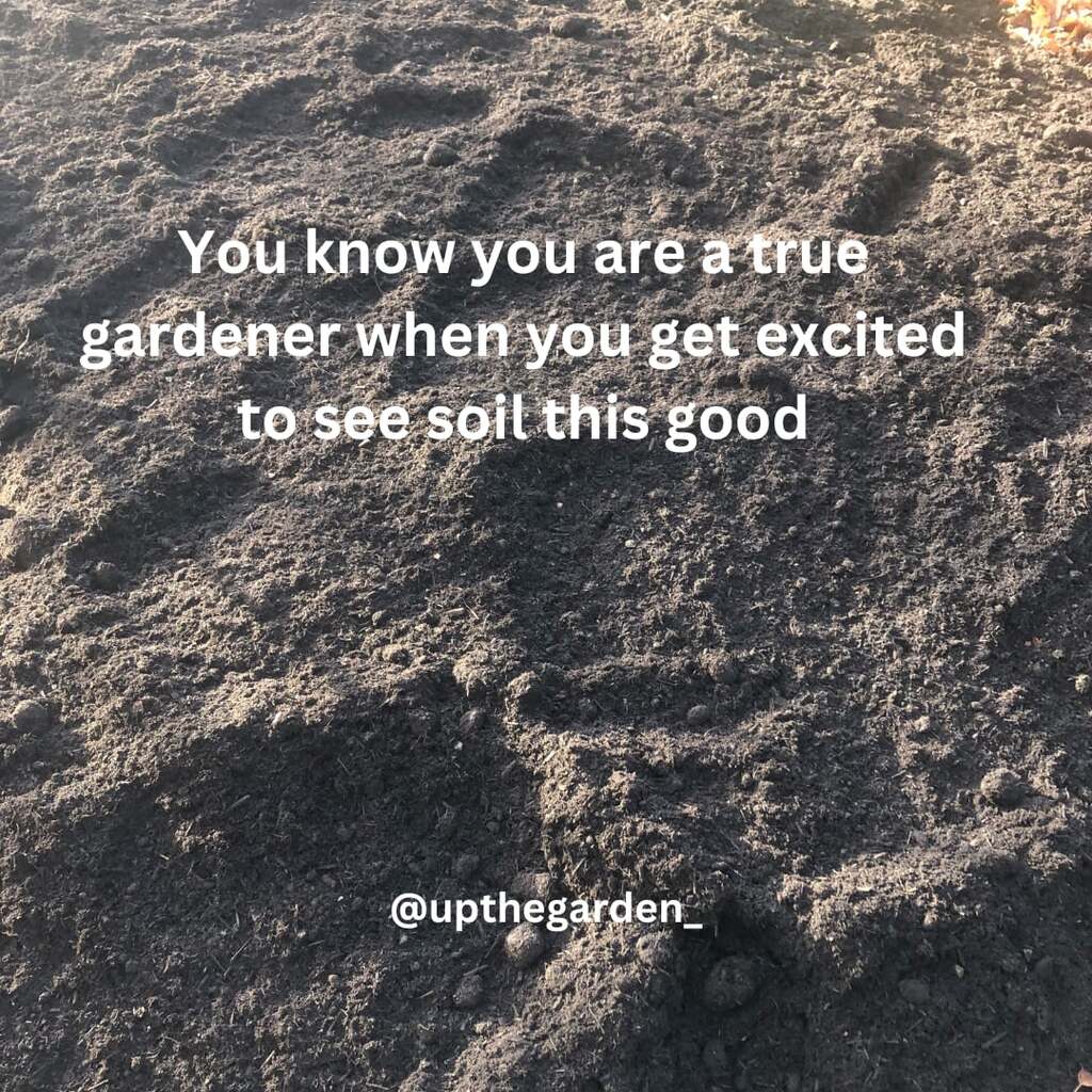 You know you area a true gardener when you get this excited to see soil this good