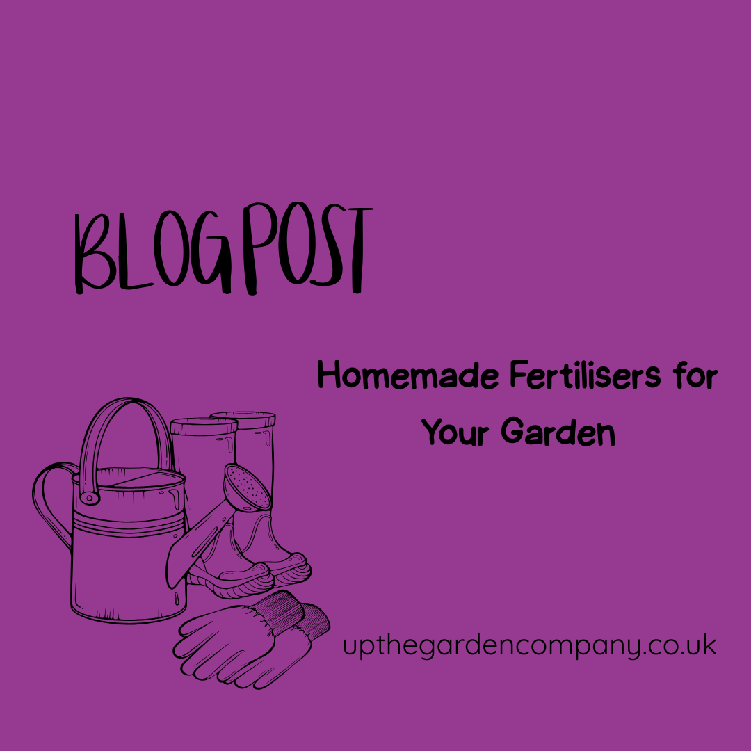 Homemade Fertilisers for Your Garden