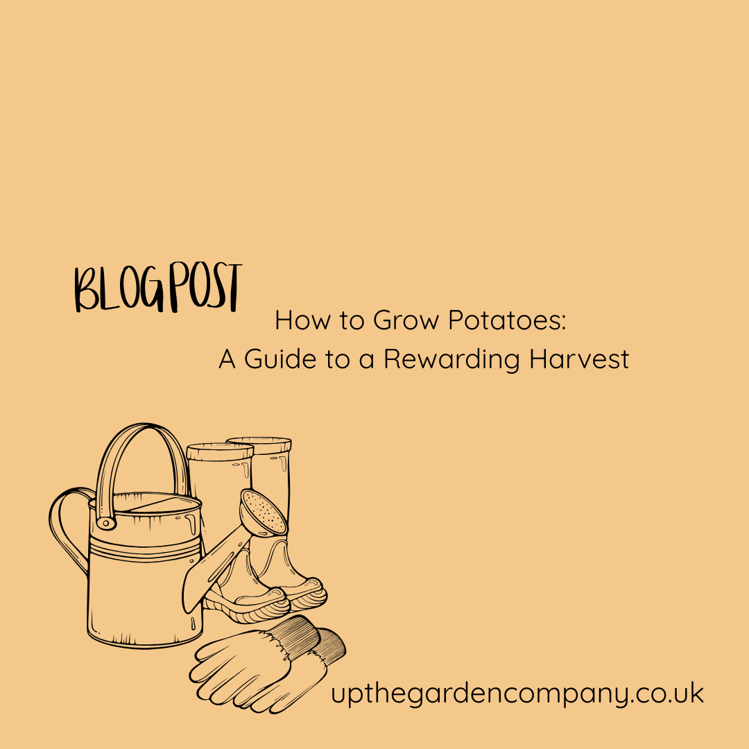 Blog Post. How to Grow Potatoes: A Guide to a Rewarding Harvest.