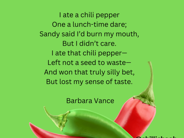 Spicy Evolution: A Dive into Chilli’s History 🌶️