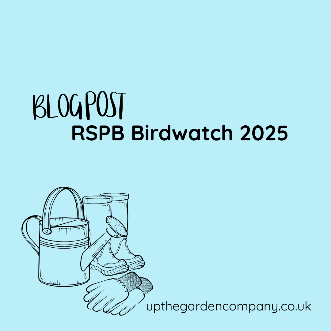 RSPB Birdwatch 2025