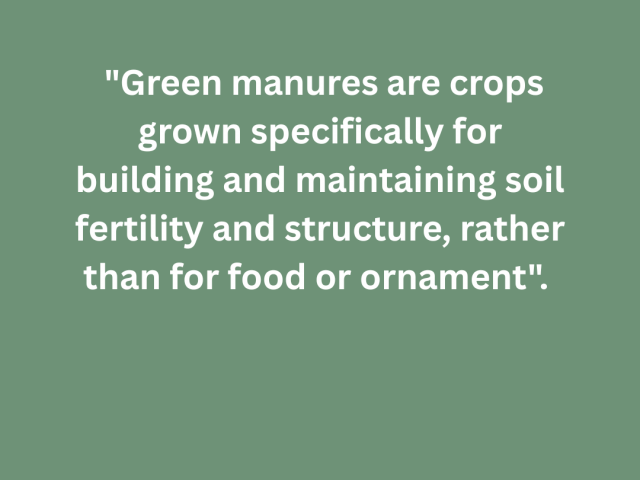 Why and When to Plant Green Manures