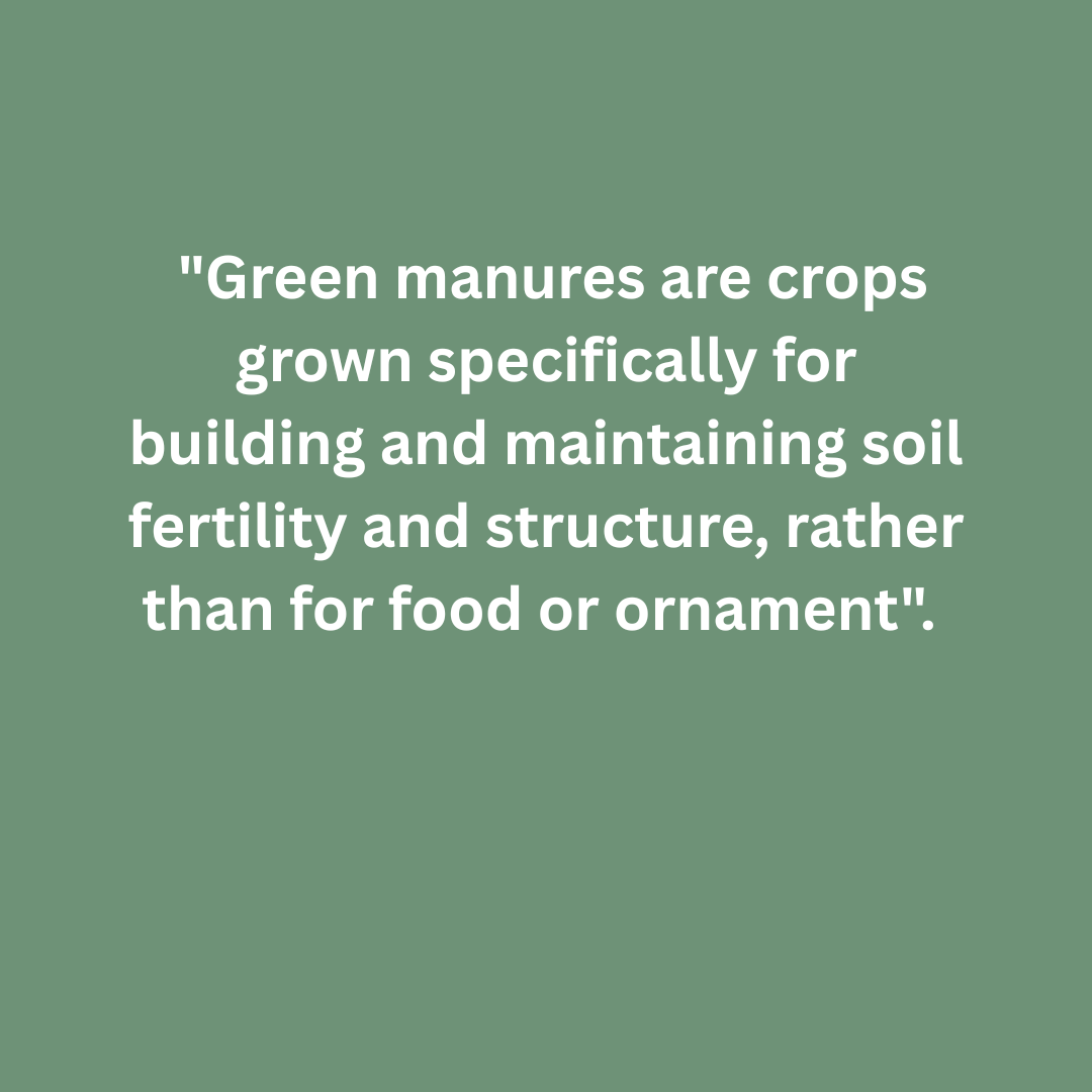 Why and When to Plant Green Manures