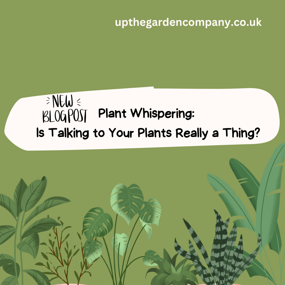 Plant Whispering - Is talking to your plants really a thing