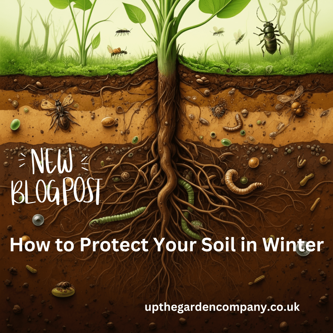Who to Protect your Soil in Winter