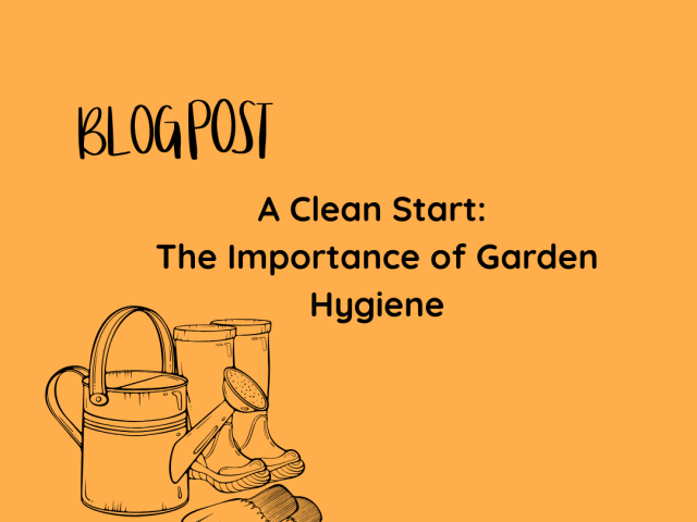 A Clean Start: The Importance of Garden Hygiene