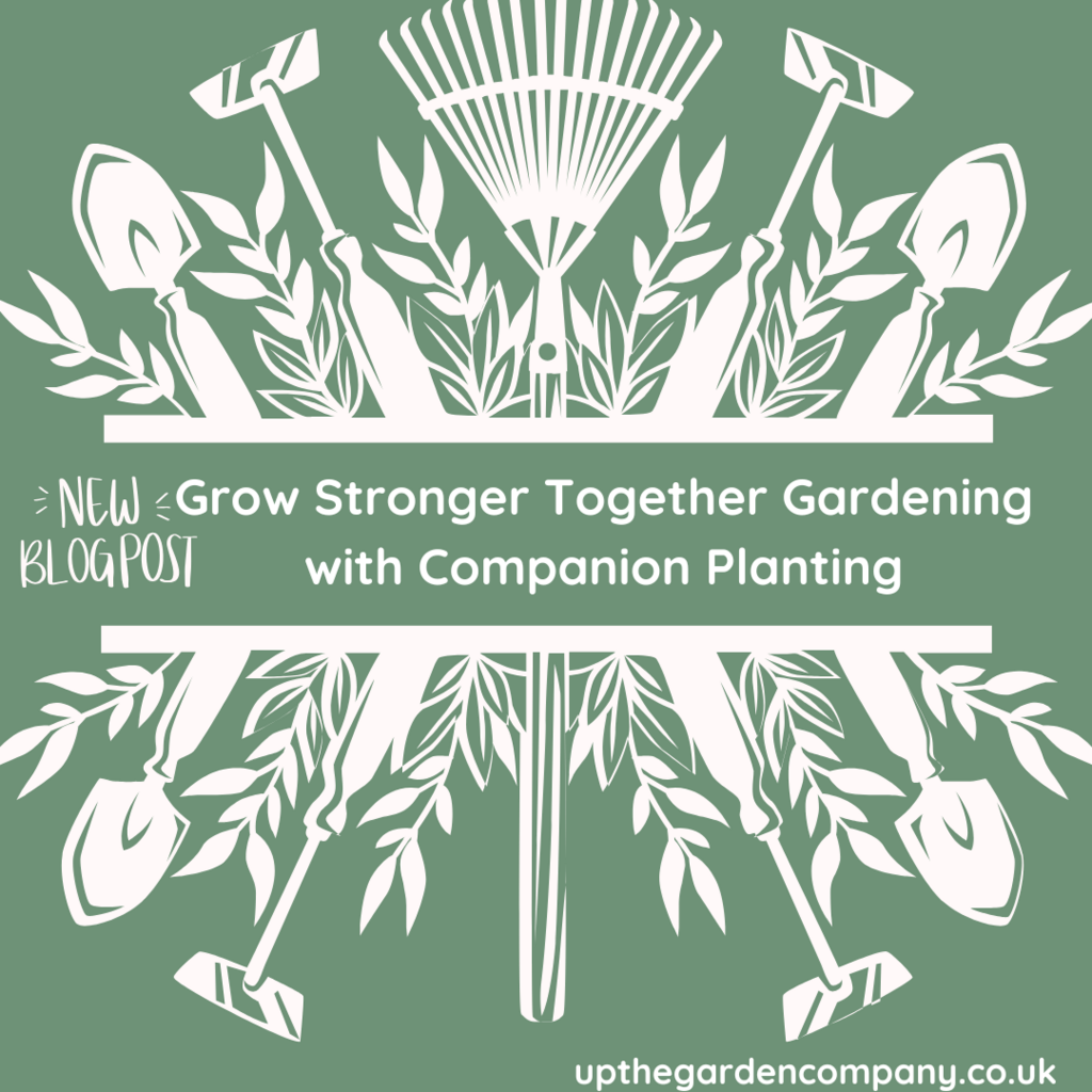 New Blog Post
Grow Stronger Together Gardening with Companion Planting