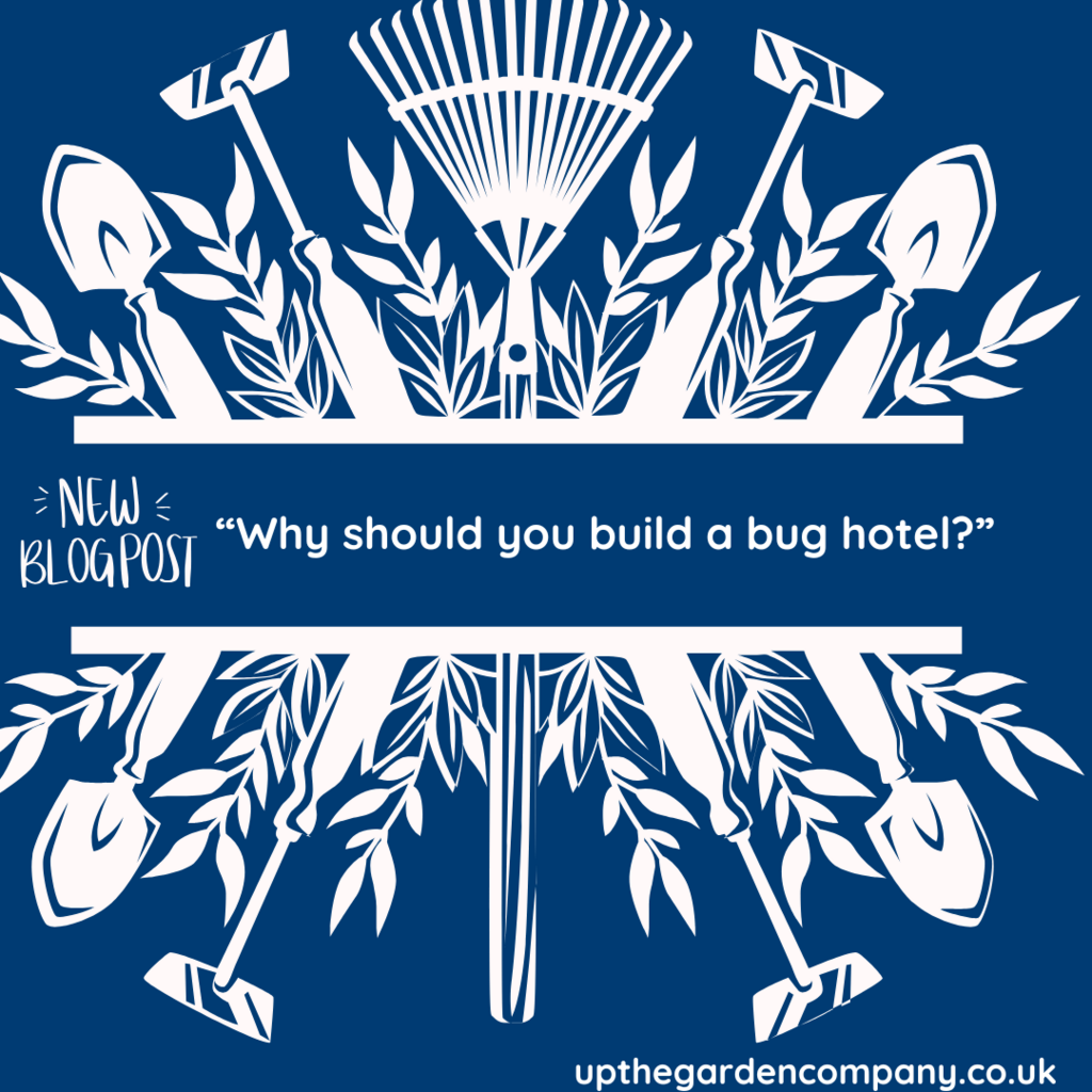 New Blog Post
Why should you build a bug hotel?