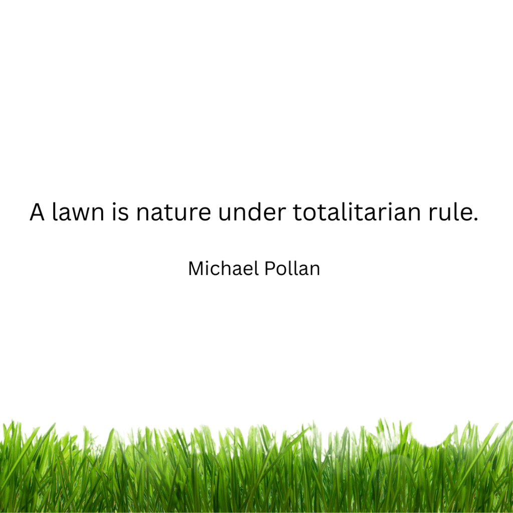 A lawn is nature under totalitarian rule.

Michael Pollan