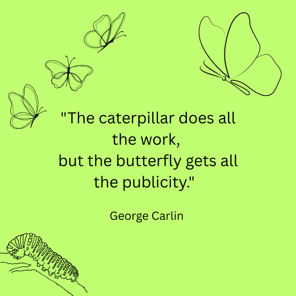 "The caterpillar does all the work, but the butterfly gets all the publicity." – George Carlin 