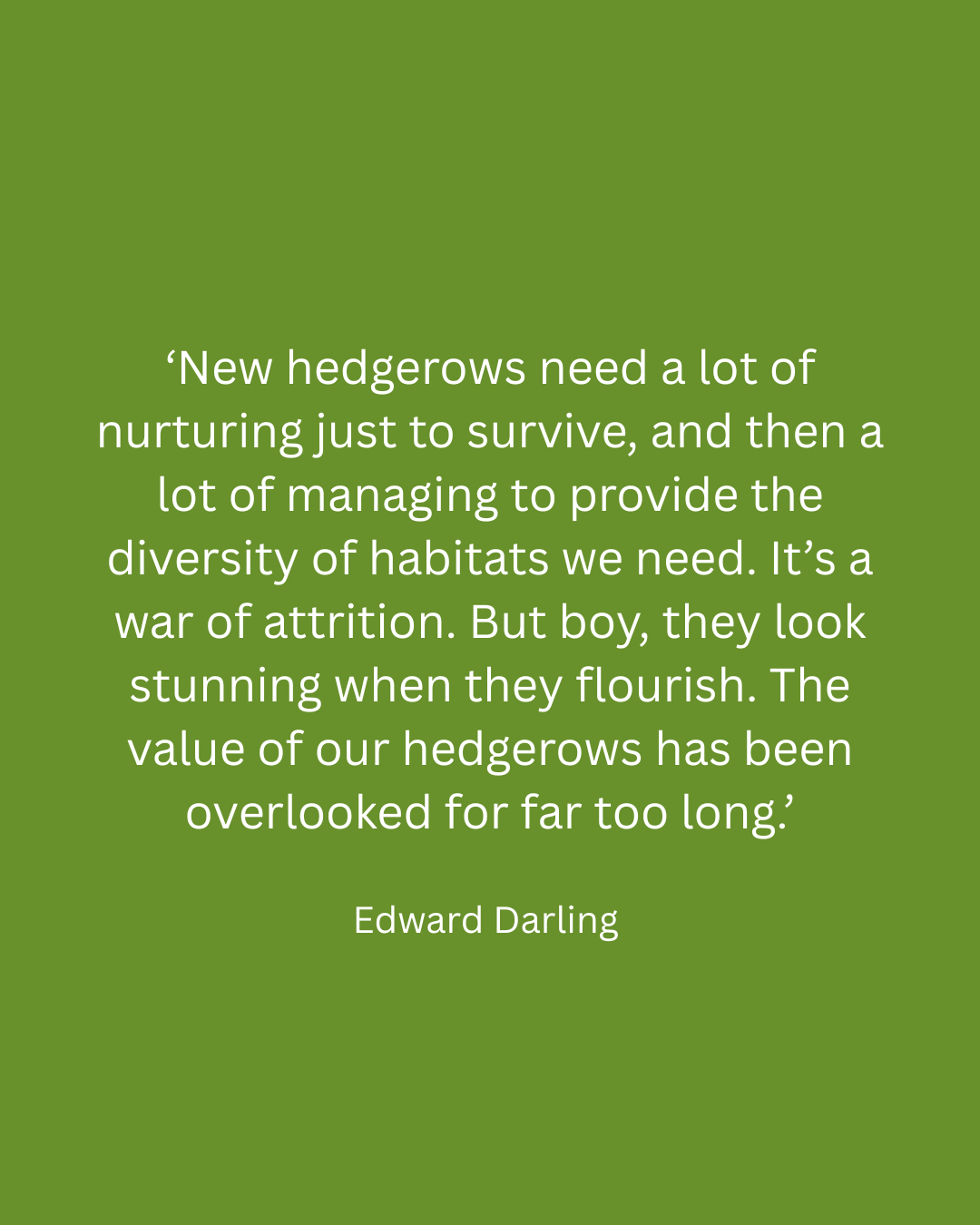 The Complete Guide to Planting and Caring for a Hedge