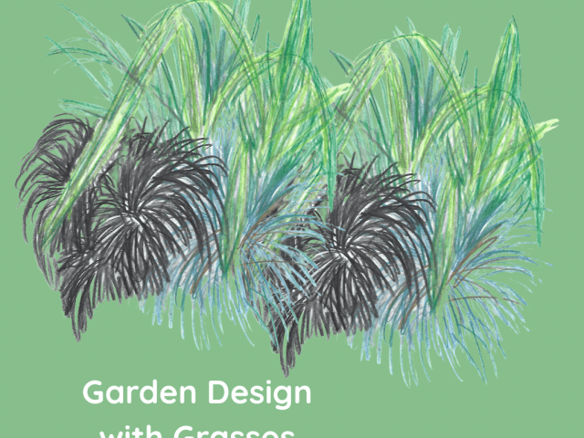 Garden Design with Grasses