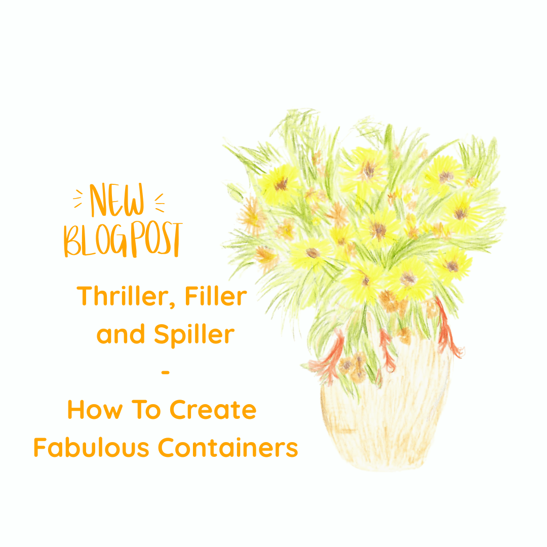 New Blog Post Thriller, Filler and Spiller How to Create Fabulous Containers Sketch of yellow flowers in planter