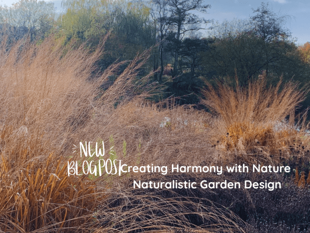 Creating Harmony with Nature Naturalistic Garden Design