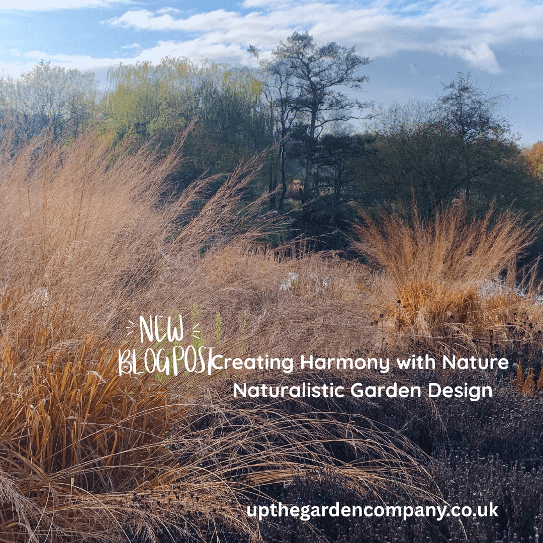 Creating Harmony with Nature Naturalistic Garden Design