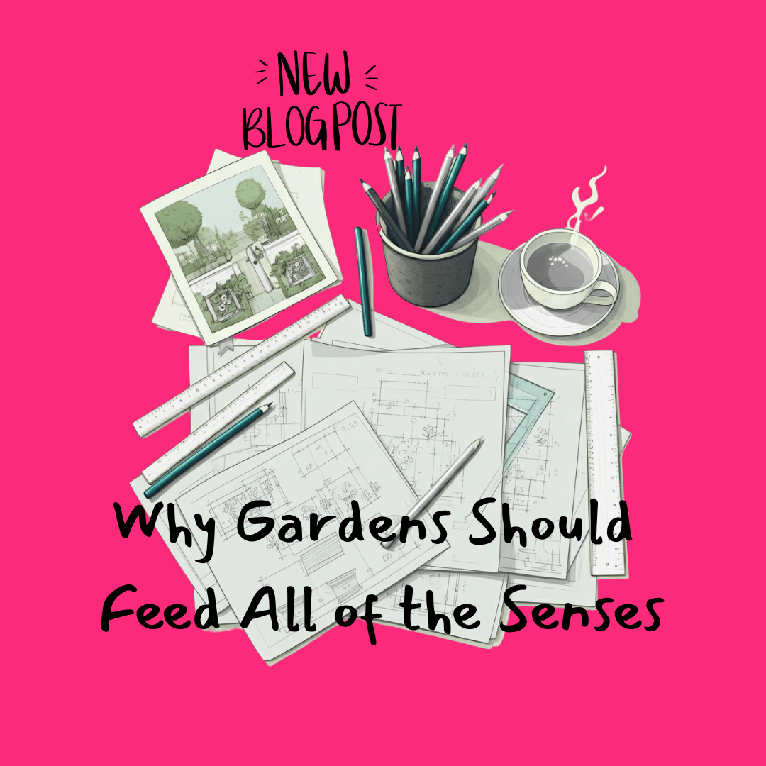 Why Gardens Should Feed All of the Senses. Garden designers desk with cup of tea, colouring pencils and garden design sketches