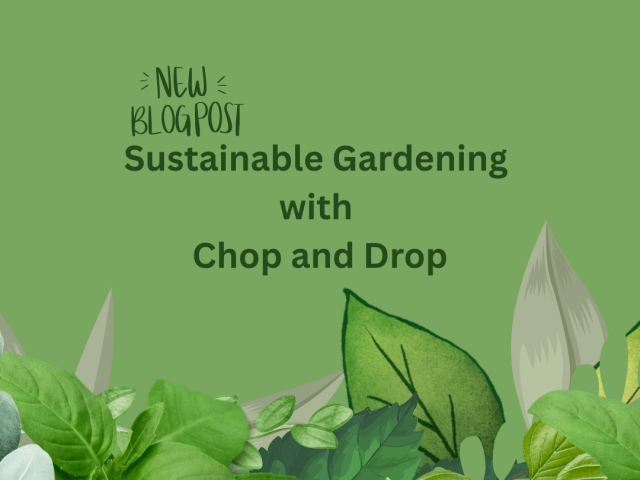 Embrace Chop and Drop for a Greener Garden