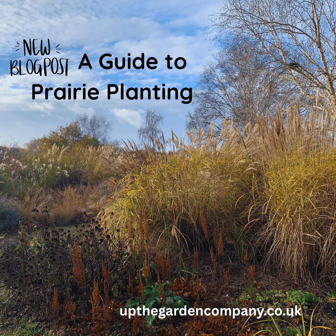 A Guide to Prairie Planting