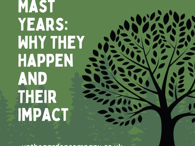 Mast Years: Why They Happen and Their Impact