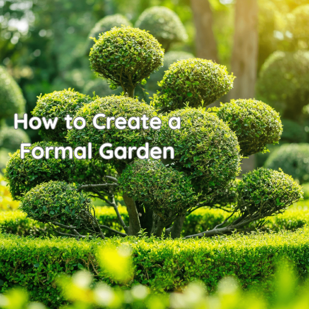 How to Create a Formal Garden