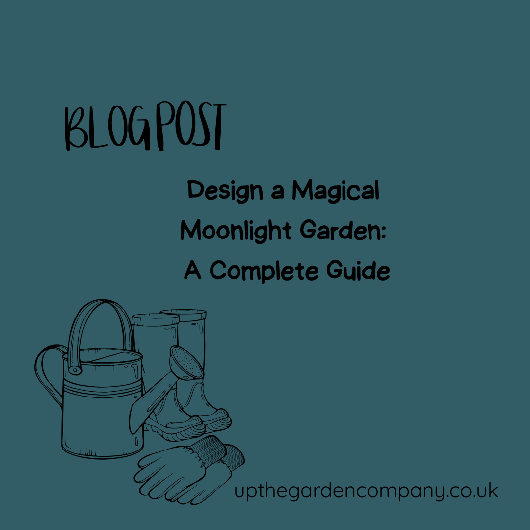 Design a Magical Moonlight Garden: A Complete Guide