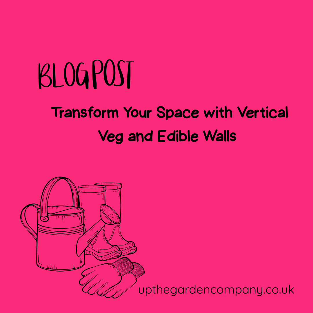Transform Your Space with Vertical Veg and Edible Walls
