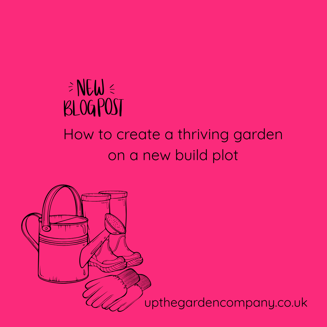 How to create a thriving garden on a new build plot
